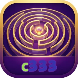 c333